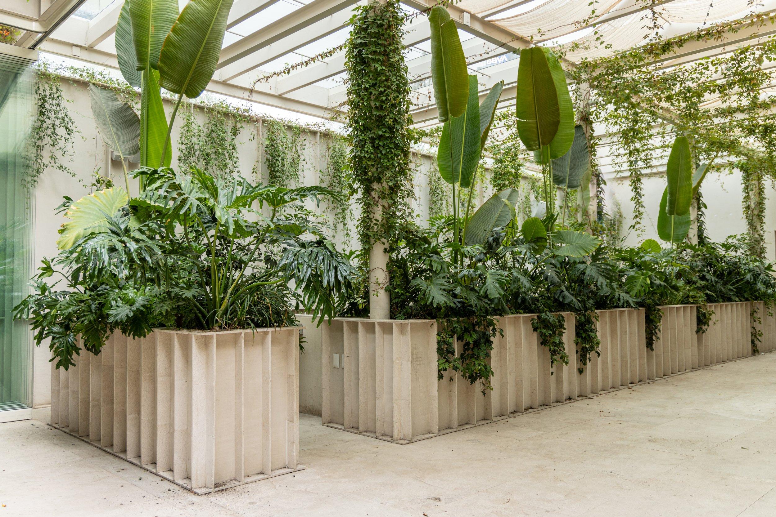 Casa Jarana - Terraza Interior